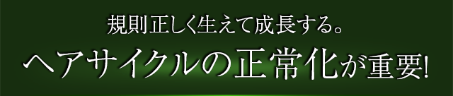 規則正しく生えて成長する。ヘアサイクルの正常化が重要!