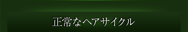 正常なヘアサイクル