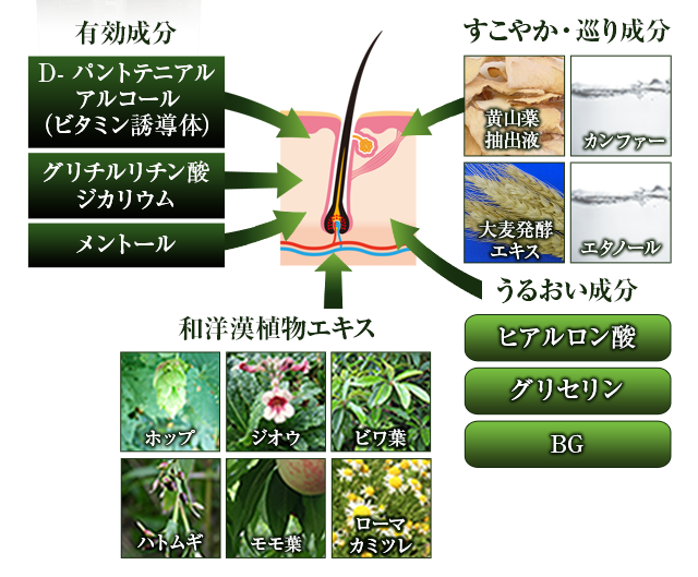 有効成分、すこやか・巡り成分、和洋漢植物エキス、うるおい成分