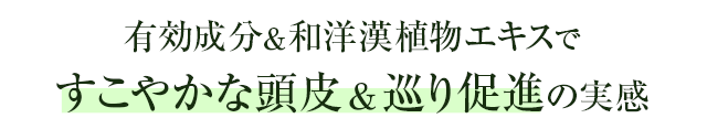 有効成分&和洋漢植物エキスですこやかな頭皮&巡り促進の実感