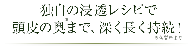 独自の浸透レシピで頭皮の奥まで、深く長く持続!