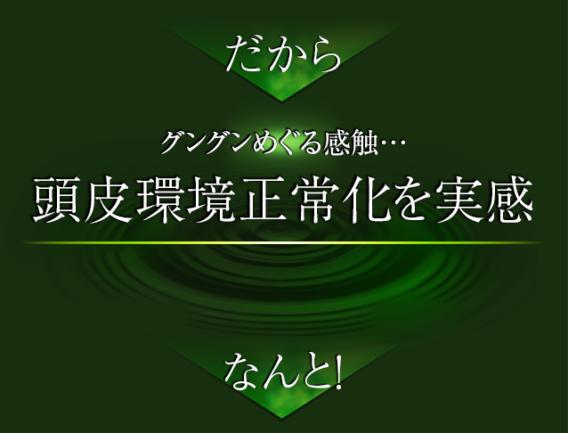 だからグングンめぐる感触…頭皮環境正常化を実感