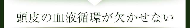 頭皮の血液循環が欠かせない