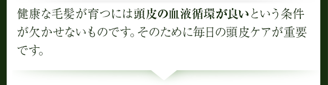 健康な毛髪が育つには頭皮の血液循環が良いという条件が欠かせないものです。そのために毎日の頭皮ケアが重要です。