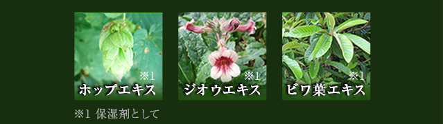 ホップエキス、ジオウエキス、ビワ葉エキス