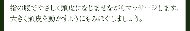 指の腹でやさしく頭皮になじませながらマッサージします。大きく頭皮を動かすようにもみほぐしましょう。
