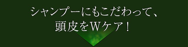 シャンプーにもこだわって頭皮をWケア!