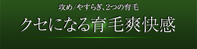 攻め/やすらぎ、２つの育毛、クセになる育毛爽快感
