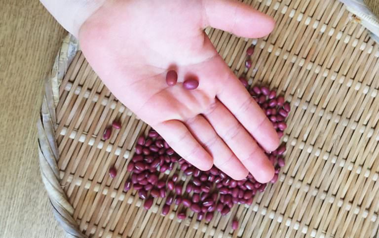 腎臓の働きをたすける「小豆」でデトックス【やまと薬膳】からだを整えるお弁当 vol.3